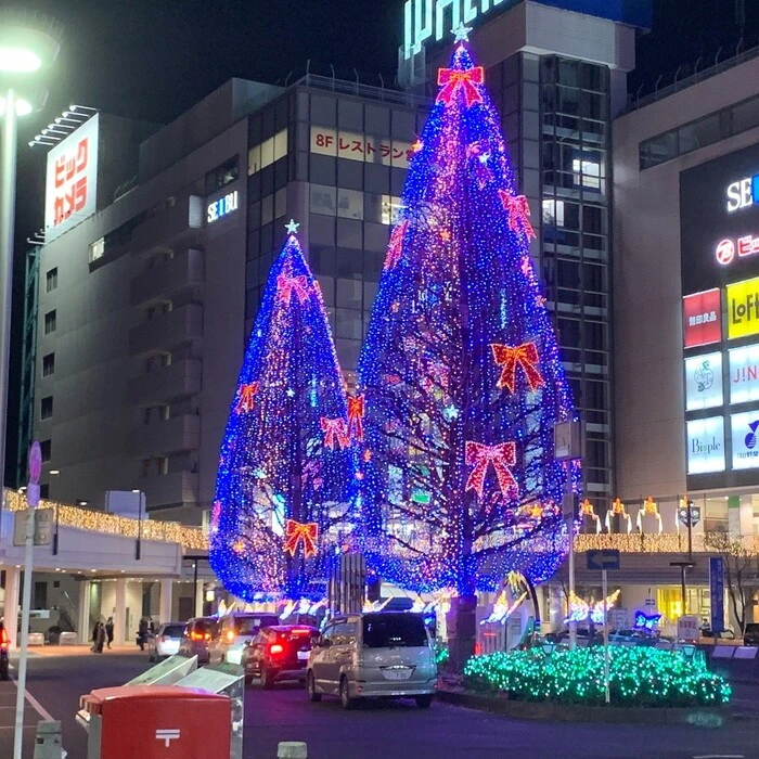 画像257