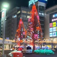 画像258