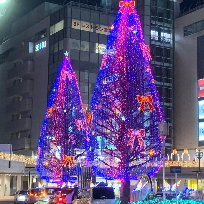 画像259